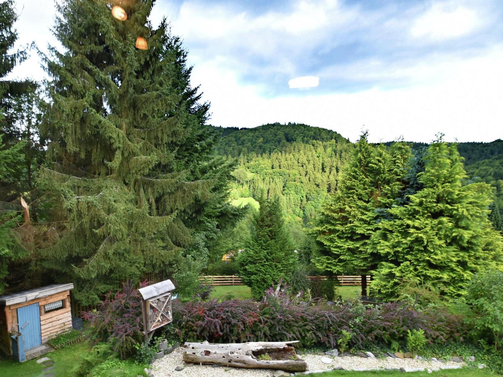 Holiday Home In Wieda With Sauna Zewnętrze zdjęcie